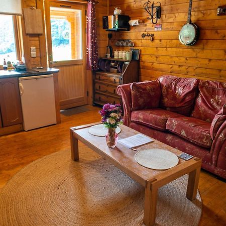 Blossom Cabin - Little Log Cabin In Wales Newtown  Exterior photo