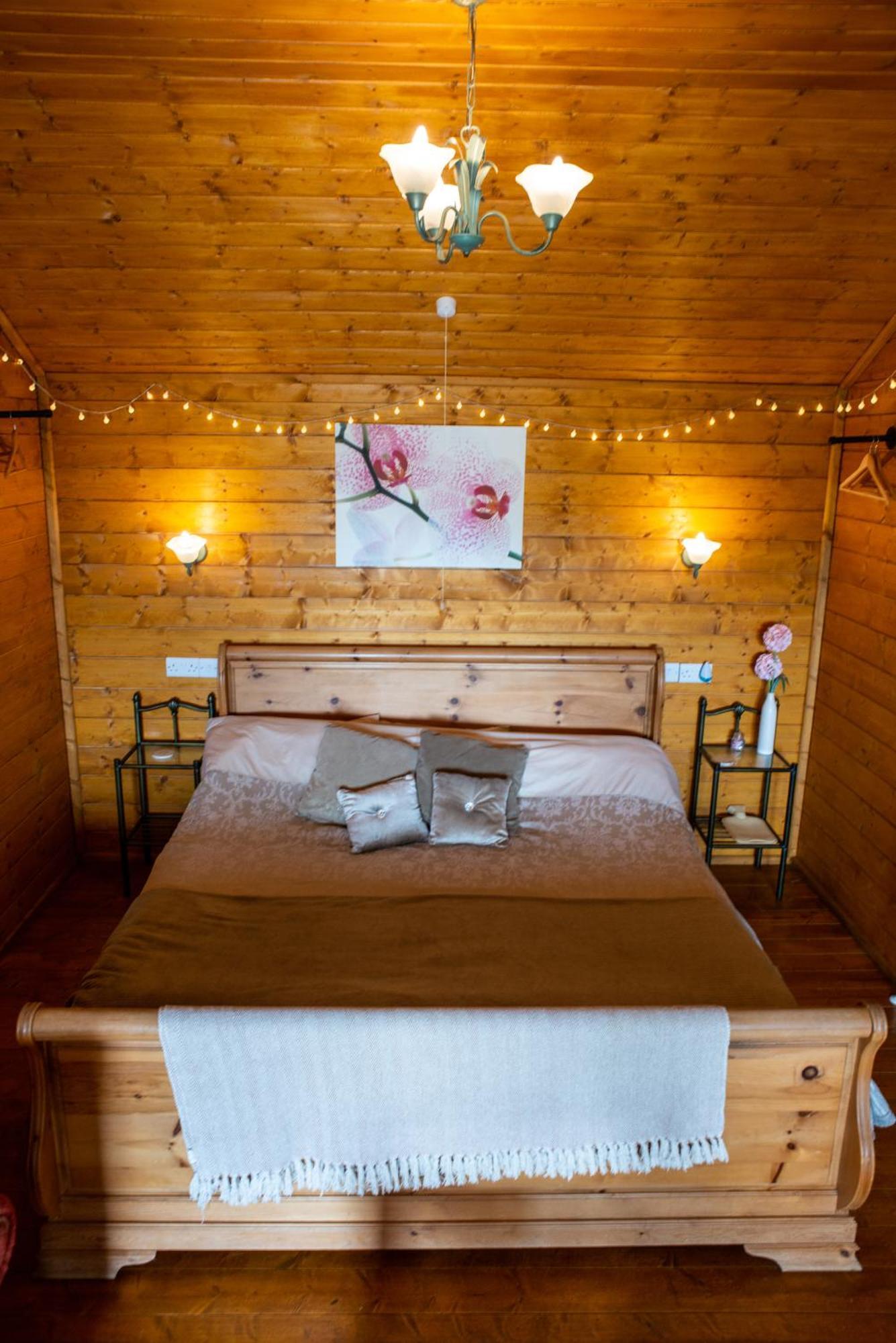 Blossom Cabin - Little Log Cabin In Wales Newtown  Exterior photo