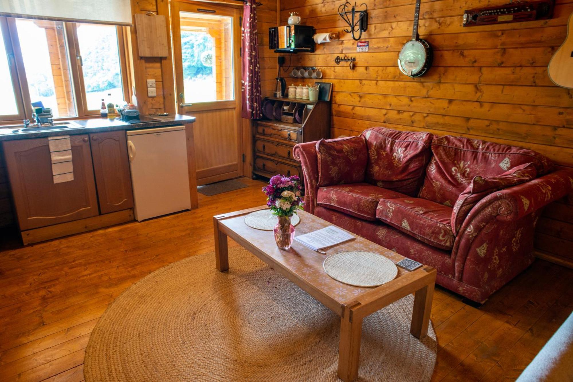 Blossom Cabin - Little Log Cabin In Wales Newtown  Exterior photo