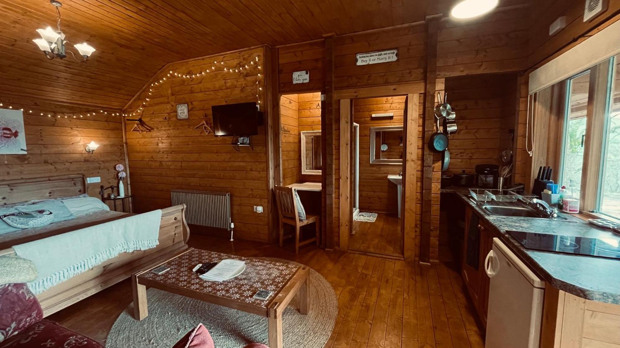 Blossom Cabin - Little Log Cabin In Wales Newtown  Exterior photo