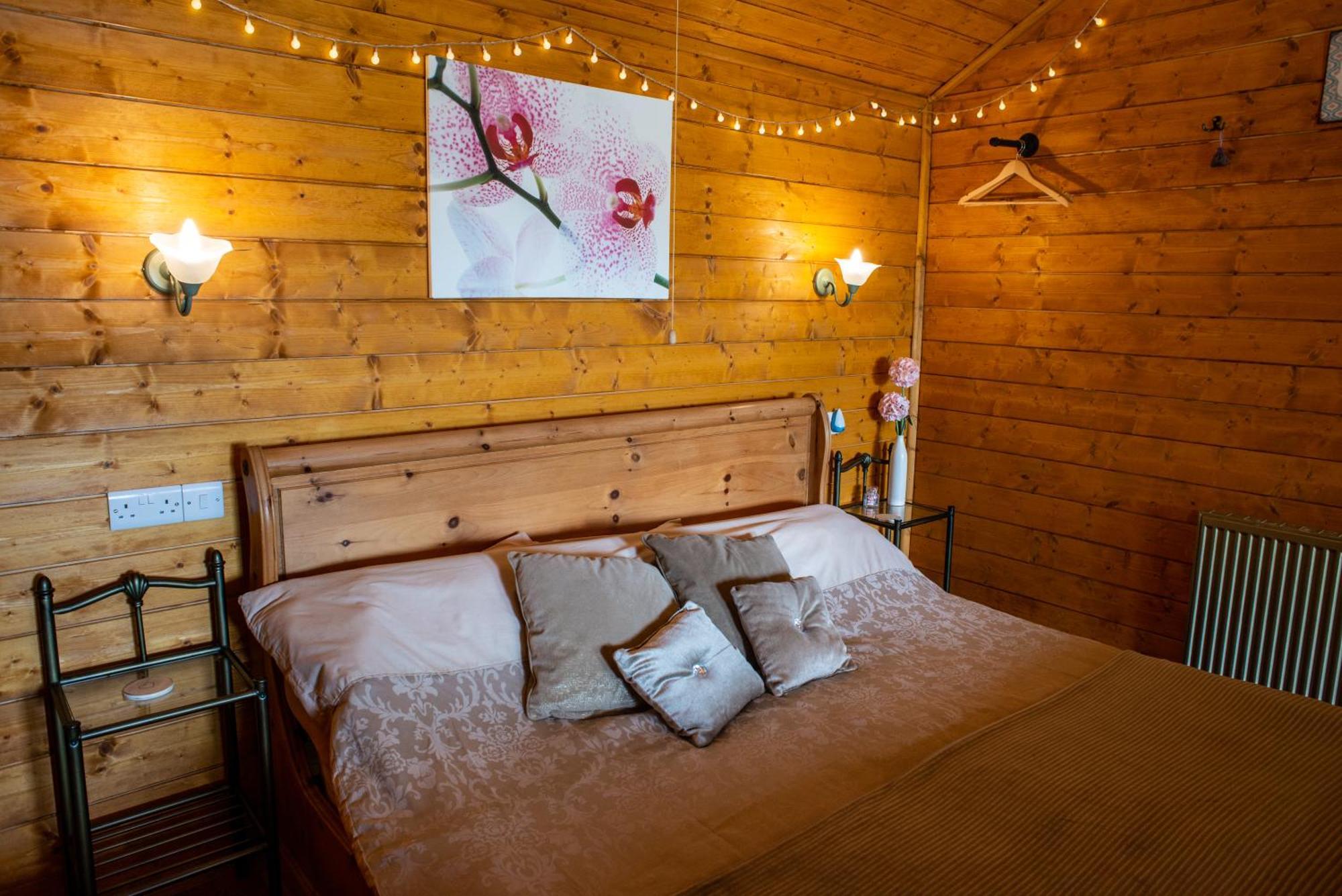 Blossom Cabin - Little Log Cabin In Wales Newtown  Exterior photo