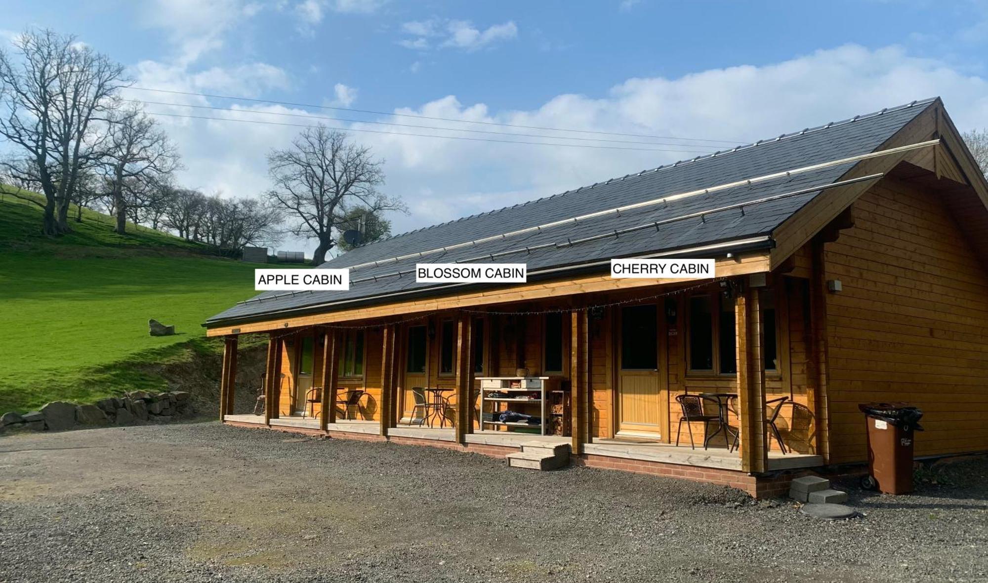 Blossom Cabin - Little Log Cabin In Wales Newtown  Exterior photo